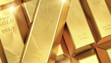 31C8A7A2 0178 49B8 8EFB A084F2217655