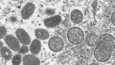 3846CCB5 4C57 462F 90D9 9739C3D34266