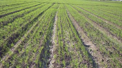 390F2F16 31E4 429F B1EB F58FBFDF8AAD