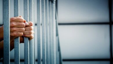 العدل: أعداد الأحداث المتهمين بالمخدرات ارتفعت لثلاثة أضعاف خلال 5 أشهر 5 46E319E9 F2FF 4531 B8F5 B210571905B3