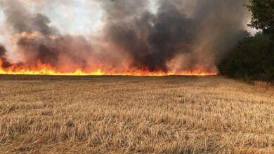 الدفاع مدني يخمد حريقاً اندلع بحقل حنطة في كركوك 3 4756F731 AE32 49F3 A61F 9927CB739644