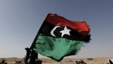 493042A4 47A7 483C A796 44EE2325F712