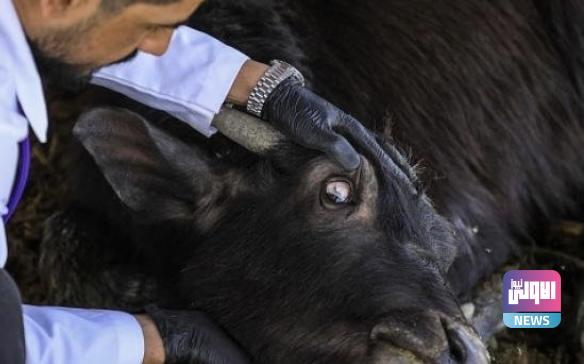 50B43FA6 2103 407E A56E 899A680FA432