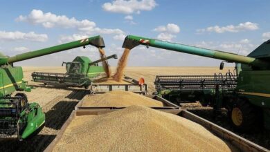 593A109A 1BCC 49AA A34C E2BD219DA76A