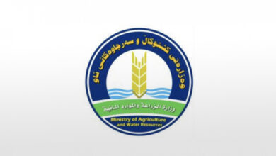 5FDB65D9 3DFA 46F4 8970 CF8D8080D8CF