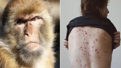 606602B0 E7A0 43B0 983A 0BD23E888F53