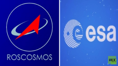 62a838874236040c0374a805