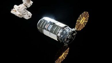 62a9b52c4c59b743ec4375db