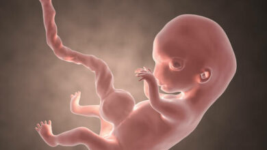 62a9cf5d42360449ca476fc8