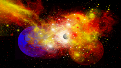 62a9cf914c59b736a607579b