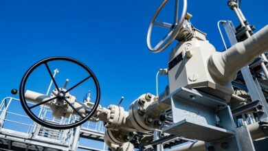 62b28de742360436c43d6fdf