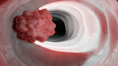 62b2b8754236040a7745f301