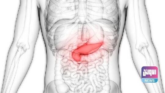 مسببات لسرطان البنكرياس 1 62b56952423604687f73c93b