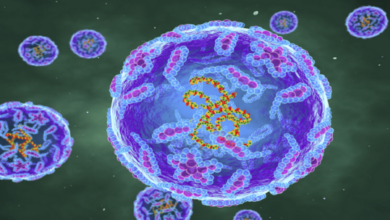 62b59f3a4c59b7368d369d9c