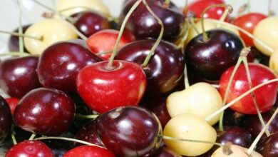 62bd79464236041f5044f862