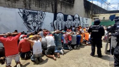 64F86ED7 C8BC 4193 A386 CCFCF89CD377