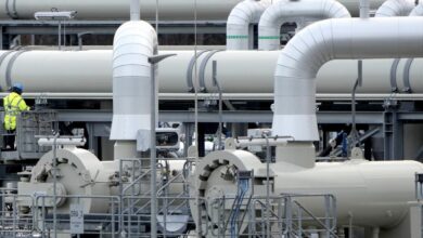 6677BB81 36D6 4C8B 8F9E 4DAFB68F72DF