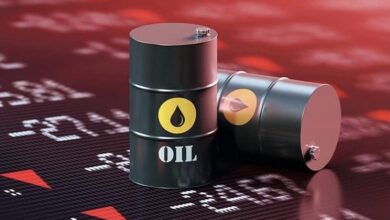 69E0CFAB 37DA 41D7 B548 89DDC6B9D044