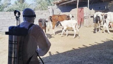 6A45A349 ECDF 4224 86B0 FEA38A7BBC80