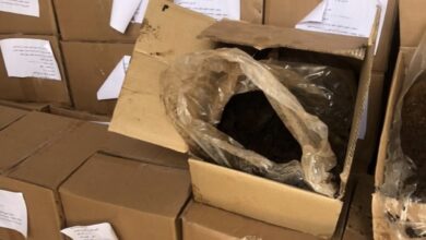 6C9E1E2F 5D02 414F 91D2 593495AA9BB8