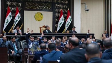 77B6C89B 375D 46ED 85C2 36EA0261E261