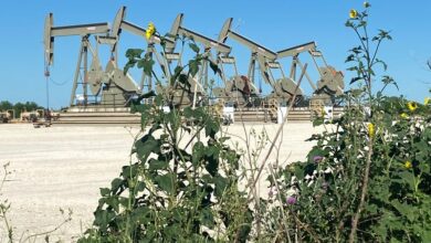 77BFBD89 072A 4C10 9409 DFD4CAA1C019