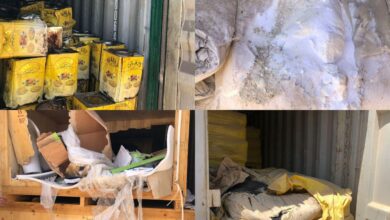 786B605D A4A8 4E64 AFD6 83BBD8E411C2