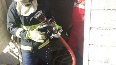 796DA73D 0381 4C63 837E 9F06751B69AA