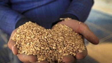 7A435F0E 0067 4D97 9018 572E7C9AAC81