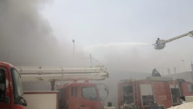 7F0FFD1C C17E 4459 9BD7 772F02788A12