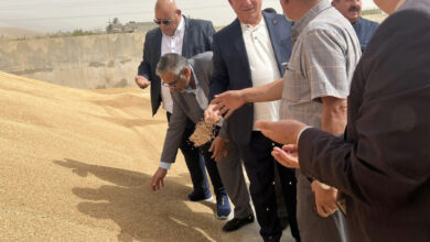 816D38DB 1222 4CCA 8FA5 D2A4FD4CA790