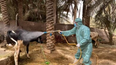 83A9BC38 849B 4E38 818D CB8BCCE813E5