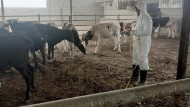 84360C58 D4AC 4B61 9AE1 36E97147BD44