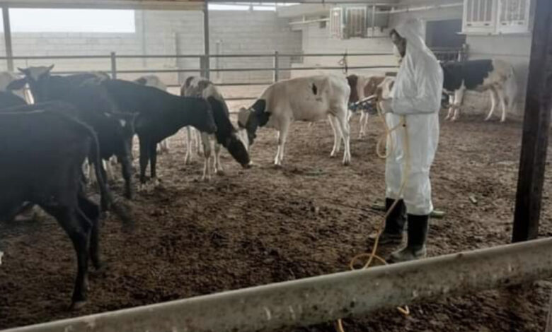 كركوك تطلق حملة جديدة لمكافحة الحمى النزفية 1 84360C58 D4AC 4B61 9AE1 36E97147BD44