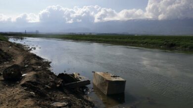 89C0647C D09D 4323 9932 AA35758F5BAD