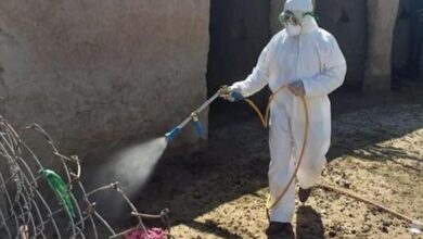 8BC0913C 6C4B 4946 BE82 67923F9ED04B