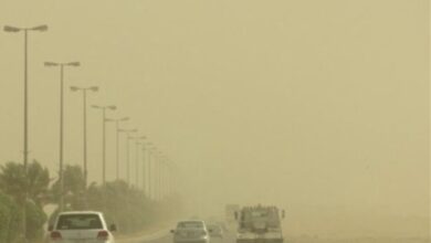 8E19B7B4 6D67 4E04 8009 DD9F14460B0A