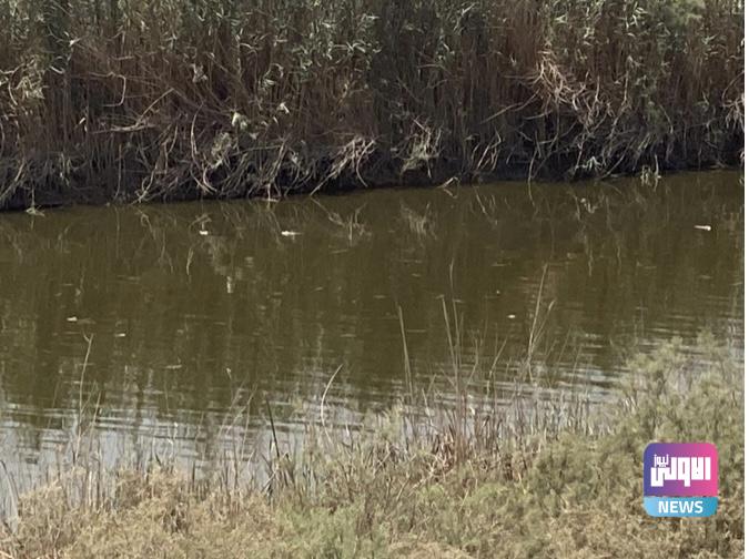 8FCB6D41 F3CC 4EE5 AC9A E52351F90C3A