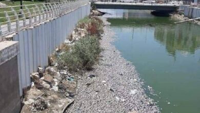 9044F6F8 D053 4E6A ACE8 B02AB0A181B1