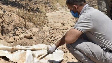 مؤسسة الشهداء: توجه لفتح مقابر جماعية جديدة وإنشاء قاعدة بيانات خاصة 3 9488BF4D BBF2 45DA 95AA 5A24459E55C5