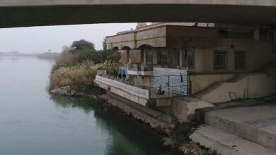 9C190DDD 6ECA 4518 8B2F E956C792CF53