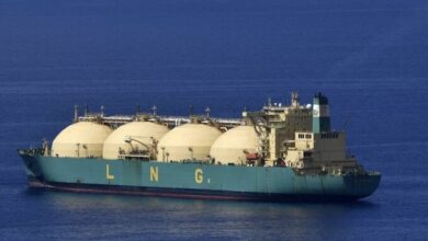 9E6C12B8 31B9 4DDA ACD5 B82E23D82819