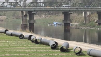 A0356F7A A108 4204 8770 016488631071