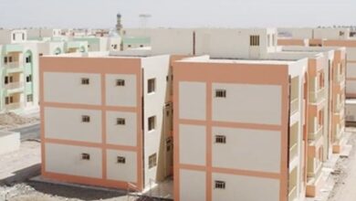 A26E8E20 361D 49B8 A4DB 4A9206C5B69B