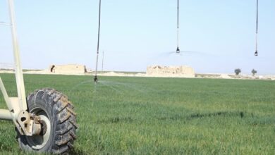 AADDB114 A90A 4006 BE9A EED19C58B9F2