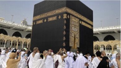 AD05205F 25B7 431B 9652 3A965A0BFFC3