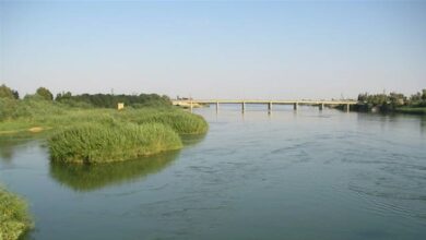 B8E6CF76 A059 48E4 B865 68F2F61C8583