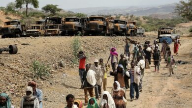 BCE29D9F 4AB8 424C 9CE0 8D37AEAB22AE