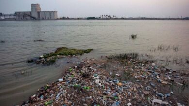 C4F809FB 854B 48BD BB9E 9D0C9AC31E2C