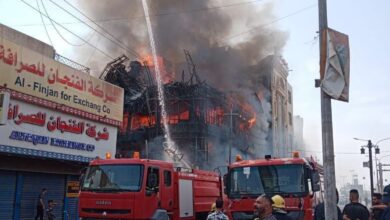 CA196786 B80C 4A93 8027 A87673229CE2